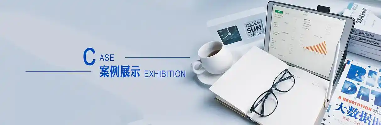焉耆回族自治县软件开发